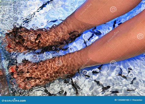 Garra Rufa Fish Peeling Stock Photo Image Of Dust 135000184