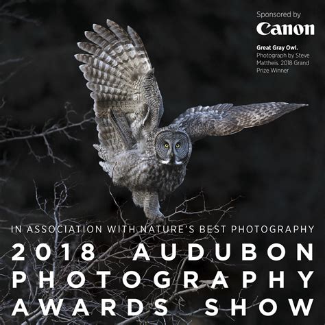 Audubon Photography Awards Exhibit At Corkscrew Audubon Corkscrew