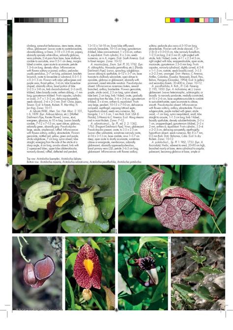 Encyclopedia Of Tropical Plants Identification And Cultivation Of Over