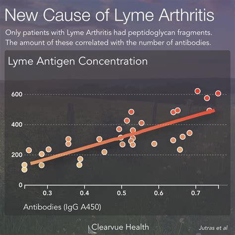 4 Charts Mechanism For Chronic Lyme Arthritis Visualized Science