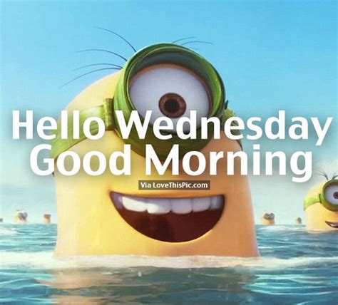 Hello Wednesday Good Morning Swimming Minion Quote Pictures Photos