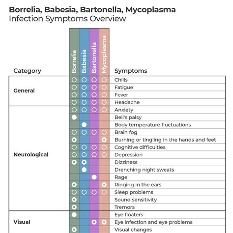 Borrelia Babesia Bartonella Mycoplasma Infection Symptoms Overview