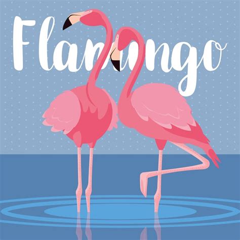 Lindo Casal De Pássaros Flamingos Na Paisagem Vetor Premium