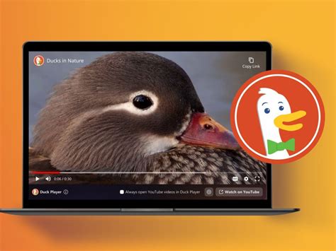 Privacy Focused Browser Duckduckgo Is Now Available For Windows Users