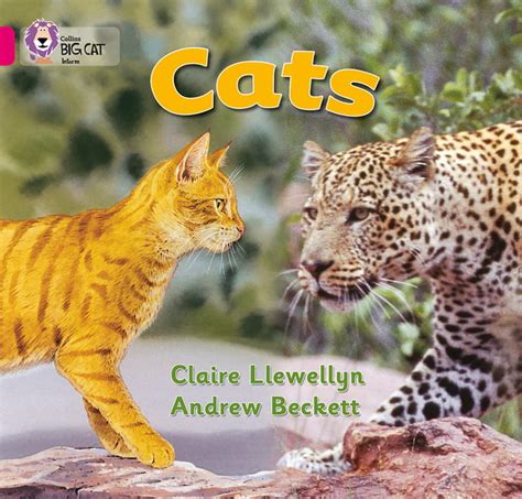 Collins Big Cat Cats Paperback
