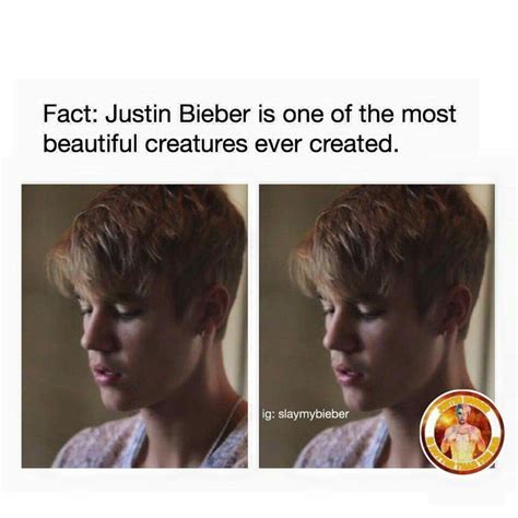 Factjustin Is The Most Perfect Person Ever Justin Bieber Facts All