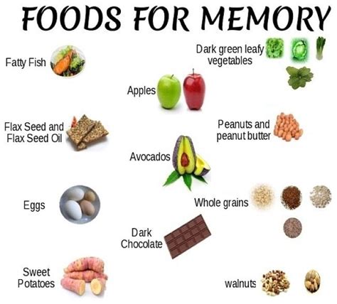 Foods For Improving Your Memory Food For Memory Brain Food For