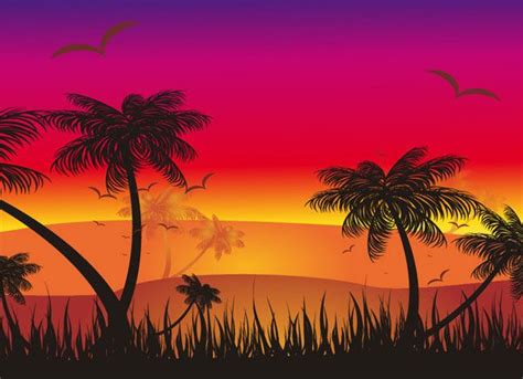 Tropical Sunset Vector Cartoon Palm Tree Palm Tree