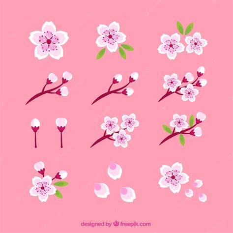 Free Vector Set Of Beautiful Cherry Blossoms