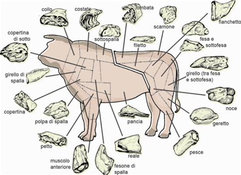 Come Riconoscere La Carne
