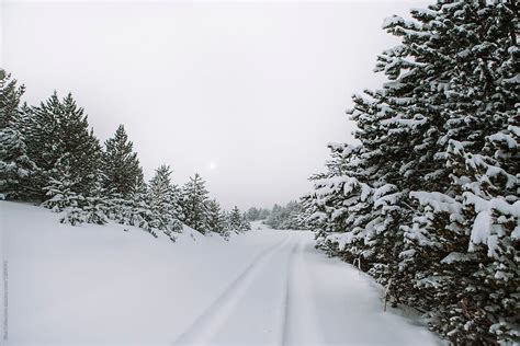 Wintery Scene Of A Beautiful Path Covered Of Snow Del Colaborador De