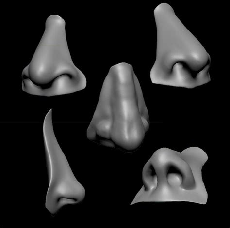 Artstation 20 Noses With High Poly And Low Poly 3d Model Resources