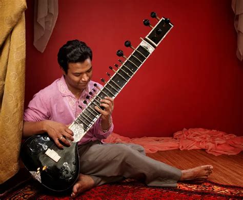 sitar musical instruments art sphere inc