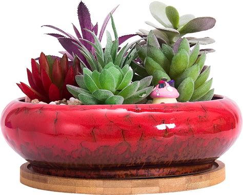 Artketty Succulent Plant Pot 185cm Large Bonsai Pot With Tray Ceramic Succulent Pot With