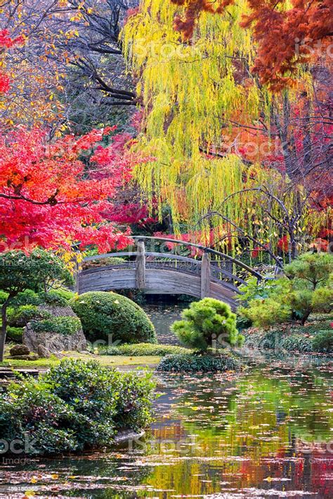 A Wooden Moon Bridge Over A Stream In Japanese Gardens Stock Photo