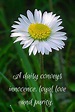 Pin by Lori Baur on He Loves Me..He Loves Me Not | Daisy love ...