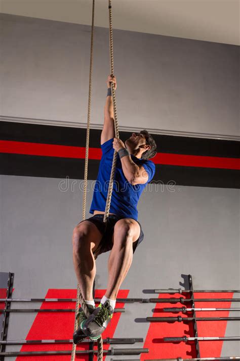 Rope Climb Exercise Man Workout At Gym Stock Image Image Of Indoor