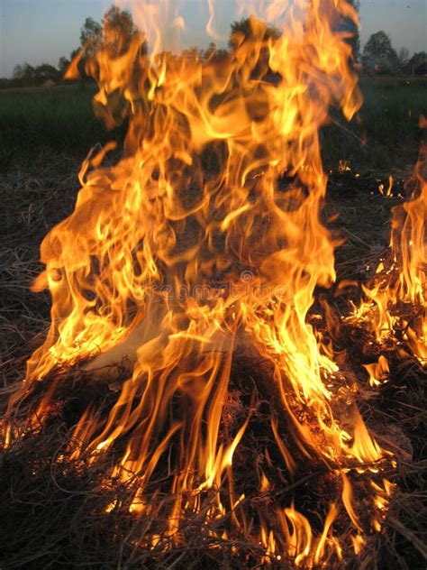 Fire In The Field Stock Photo Image Of Heat Color Imprudence 25994122