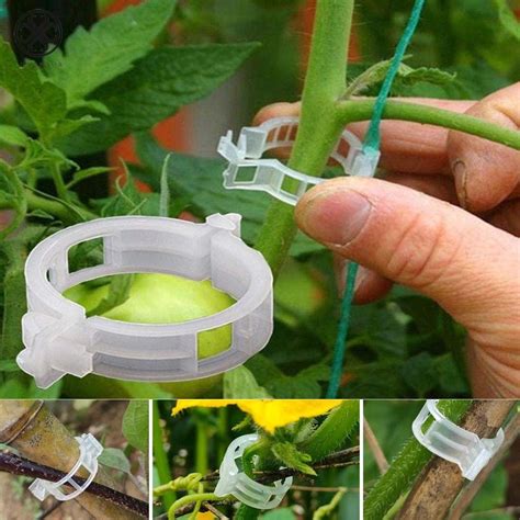 Luxtrada 100pc50pc Trellis Tomato Clips Supports Connects Plants Vines