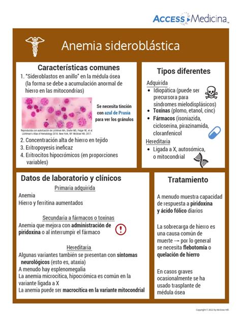 Anemia Sideroblástica Pdf Medicina Clinica Especialidades Medicas