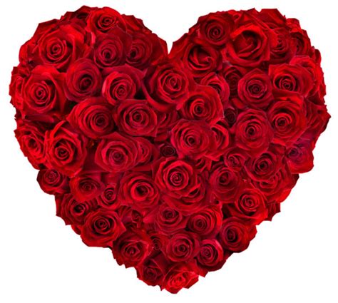 30205535 Heart Of Red Roses Selected By Julie