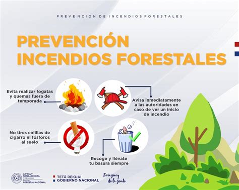 Infona Emite Recomendaciones Para Prevenir Los Incendios Forestales