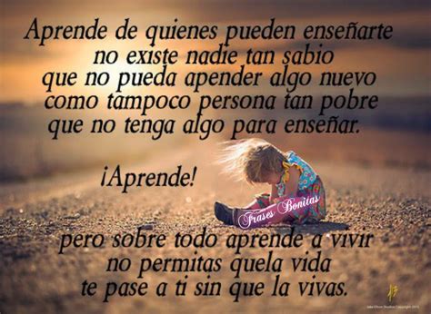 Frases Bonitas Para Todo Momento. : Aprende de quienes pueden enseñarte