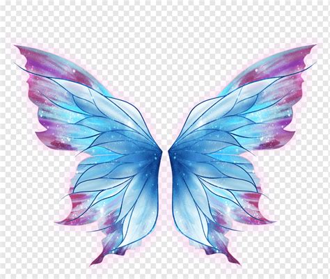 Butterfly Drawing Art Fairy Wings Blue And Red Butterfly
