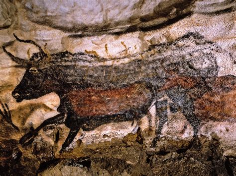 All You Need To Know About Lascaux Cave Dailyart Magazine