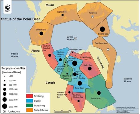 Population Sizes And Trends Of The Polar Bear Source Wwf 2011