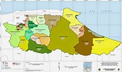Mapa del Estado Miranda con todos sus municipios