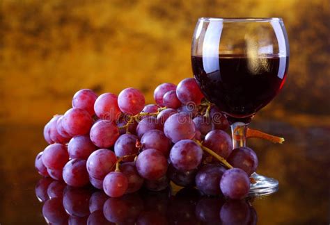 Red Wine With Grape Stock Image Image Of Still Berry 23065963