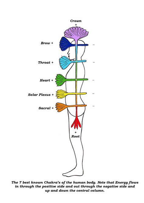 My Life In Coaching 2 The 7 Major Chakras