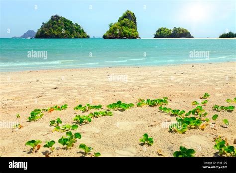 Landscape Of Tropical Beach And Blue Sky With White Clouds In Krabi