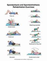 Photos of Tummy Muscle Exercises