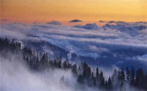 Wallpaper Sunlight Trees Landscape Forest Mountains Sunset