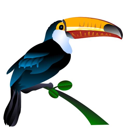 Toucan Clipart Clip Art Library