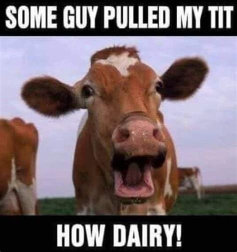 how dairy r facebookmemes