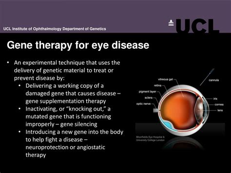 Ppt Gene Therapy For Eye Disease Powerpoint Presentation Free