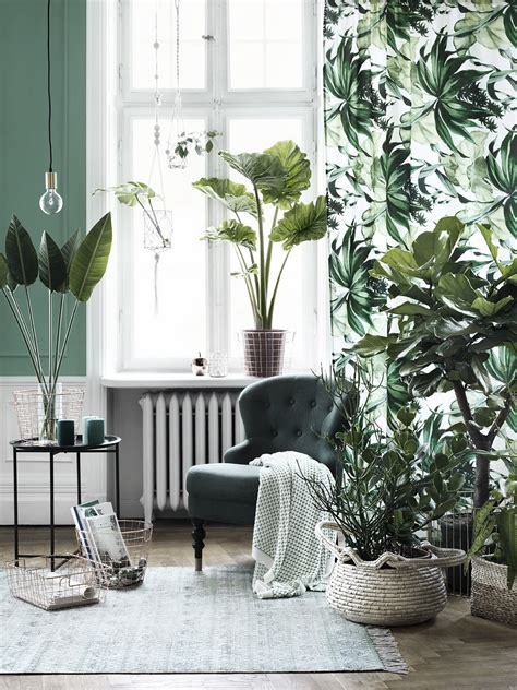Revitalize Your Home With Lush Indoor Plants In Every Room