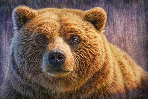 Grizzly Portrait By Phil Jaeger In 2021 Portrait Art Bear Paintings