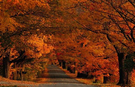 Vermont Autumn Scenes Desktop Wallpapers Top Free Vermont Autumn
