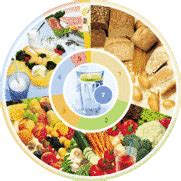 A food pyramid is a representation of the optimal number of servings to be eaten each day from each of the basic food groups. Food-based dietary guidelines - Germany