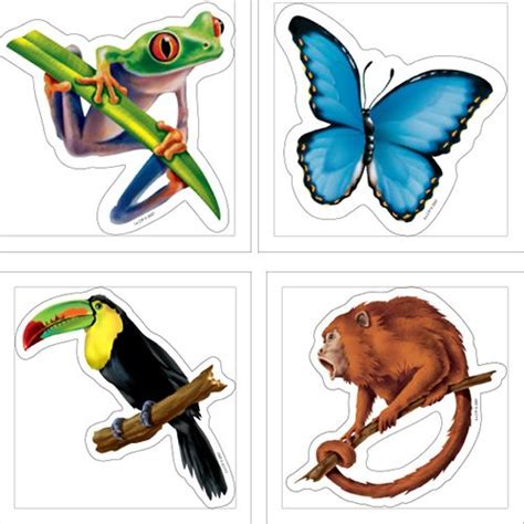 Perfect For Decorating Classroom Walls These Colorful Rainforest