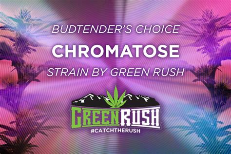 Budtender's Choice: Chromatose by GreenRush! - Agate Dreams