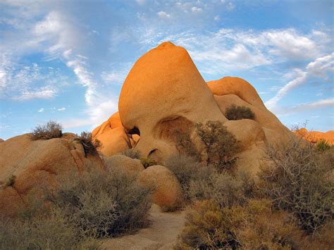 Skull Rock Trail Joshua Tree National Park Us National Park Service