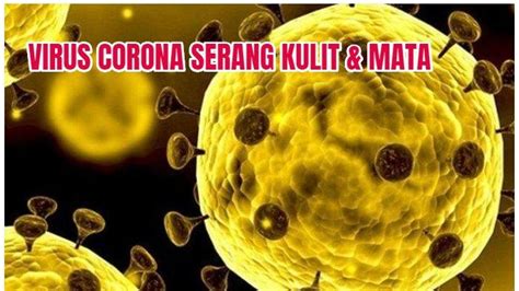 Sekarng kami akan menjelaskan mengenai penyakit hiv. Ciri-ciri Virus Corona Terbaru, Kini Serang Kulit dan Mata, Waspada Gejala Covid-19 Terkesan ...