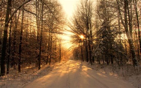 Snow Forest Sunrise Wallpapers Top Free Snow Forest Sunrise