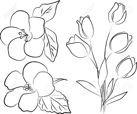 Последние твиты от simple line art (@simple_lineart). Simple Flower Line Drawing at GetDrawings | Free download