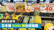 日本掃 5000 噸台灣菠蘿 創歷史新高 - ezone.hk - 網絡生活 - 生活情報 - D210304